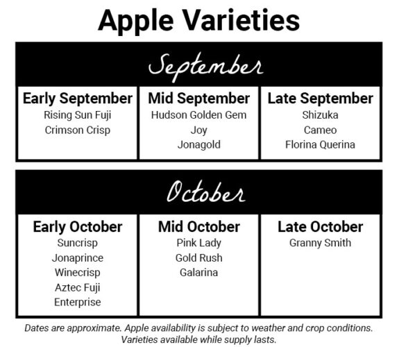 Apple Varieties